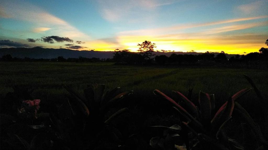 Oui Kaew Home Stay Phayao Exterior foto